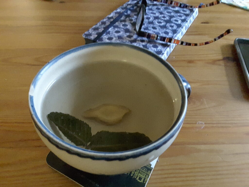 Teetasse mit Ingwer & Minze sowie ein Notizbuch und Brille