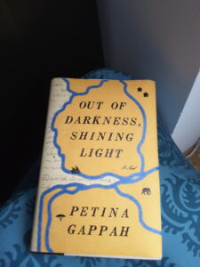 Das Cover von Petina Gappahs Roman vor einem halb dunklen, halb hellen Hintergrund