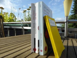 Drei Bücher auf einem Balkontisch vor blauem Sommerhimmel: Ketil Bjornstad "Die Frau im Tal", J.M. Cotzee "Der Junge" und Robert Musil "Nachlass zu Lebzeiten"