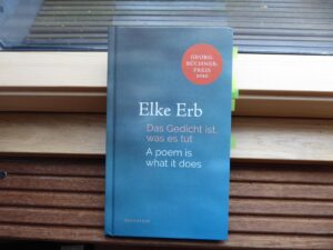 Elke Erbs Buch "Das Gedicht ist, was es tut" auf einer hölzernen Fensterbank angelehnt ans Fensterglas.