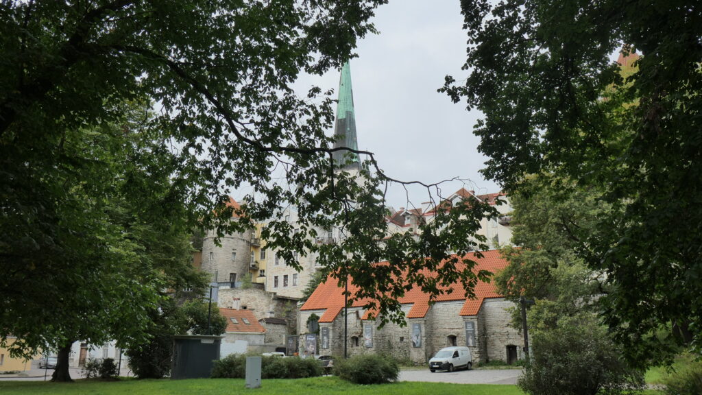 Zwischen zwei Parkbäumen öffnet sich der Blick auf den spitzen grünen Turm von St. Olaf, der über den hellen Mauern und roten Dächern der Altstadt trohnt.