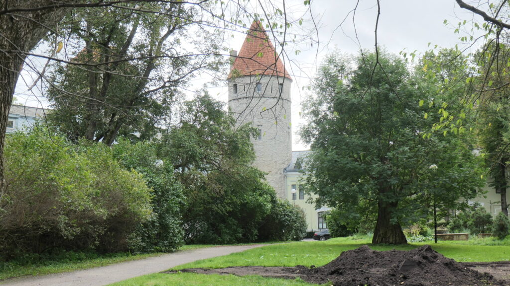 Blick aus dem Park auf den Plate Tower, ein hoher, runder turm mit steilem, spitzen Ziegeldach, das rot vor dem grauen Himmel leuchtet.