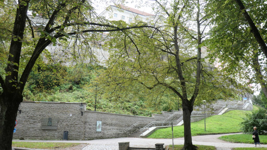 Tompea, das Schloss auf dem Domberg Tallinns, in dem das estonische Parlament tagt, gesehen vom Park bei der Stadtmauer aus: Die gelben Mauern und das rote Ziegeldach sind geradeso vor grauem Himmel und hinter dem Blattwerk der Bäume zu erkennen. Eine lange Treppe führt an einer Mauer entöang nach oben.
