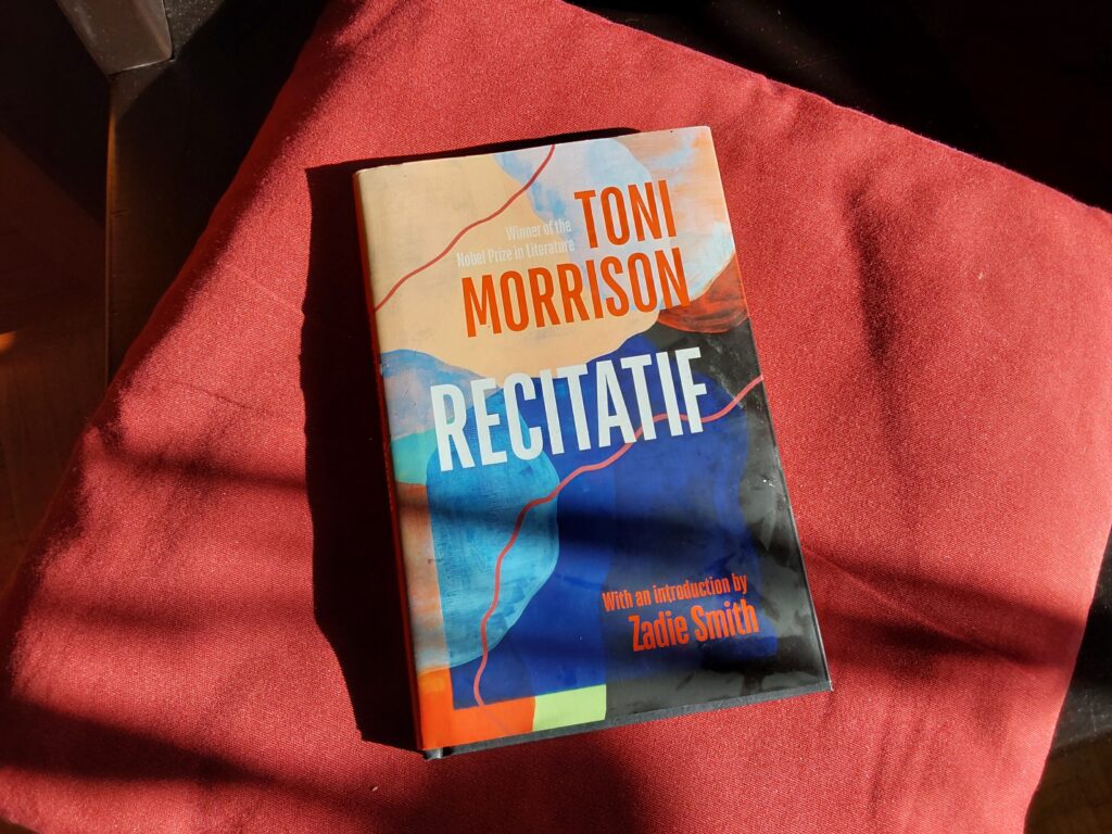 Das bunte Cover von toni Morrisons "Revitatif" zieren organisch gerundete Flächen in gebrochenen Farben, die sich teils überschneiden Wo dies geschieht, entstehen Mischtöne. Zwei rote Linien durchqueren gebogen und leicht wellig das Bild - die eine in der linken Ecke und die andere trennt das untere, dunklere Drittel vom Rest.