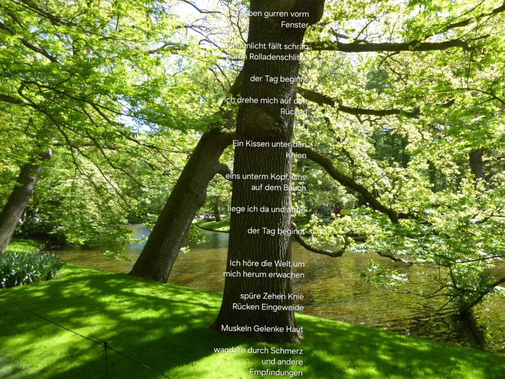 Bäume mit lichter Frühjahrsbelaubung stehen auf sattgrünem Rasen und beugen sich rechts übers grünliche Wasser. Über dem Stamm des Baumes, der senkrecht in der Mitte des Bildes aufragt, ist der Text eines Gedichtes gelegt: Amselgesang dringt durchs Dunkel der Tag beginnt noch nicht für mich ich drehe mich um Tauben gurren vorm Fenster Sonnenlicht fällt schräg durch Rolladenschlitze der Tag beginnt ich drehe mich auf den Rücken Ein Kissen unter den Knien eins unterm Kopf, eins auf dem Bauch liege ich da und atme der Tag beginnt Ich höre die Welt um mich herum erwachen spüre Zehen Knie Rücken Eingeweide Muskeln Gelenke Haut wandere durch Schmerz und andere Empfindungen begegne Sorgen Gedanken Bildern Ideen Der Tag beginnt und ich mit ihm