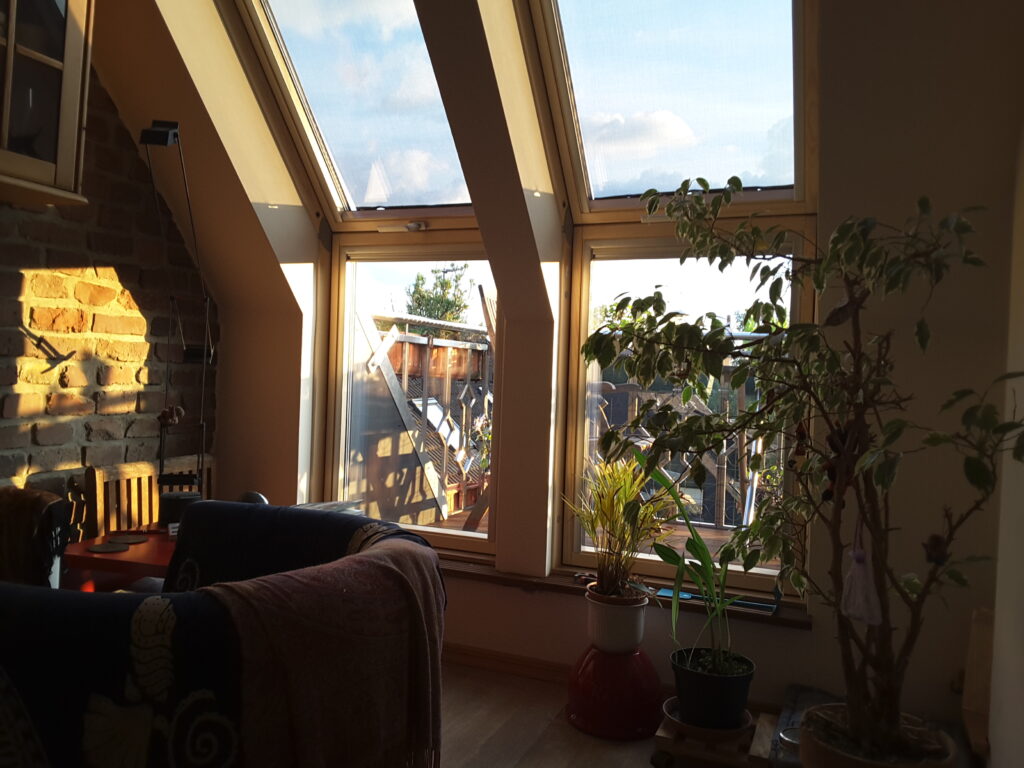 Abendstimmung unterm Dach. Hinter einem kleinen Sessel mit farbigem Stoffüberwurf und rotem Beistelltisch mit Büchern und Leselampe geht der Blick durch zwei Elemente eines Veluxbalkons (also senkrechte Tür- bzw. Fensterelemente und darüber jeweils ein schräges rechteckiges Dachfenster), vor denen eine kleine Palme und andere Grünpflanzen auf dem Holzfußboden stehen, hinaus auf den Balkon. Links ist ein Blmenkasten mit Rosmarin zu sehen, der am Edelstahlgeländer befesttigt ist, das die tiefstehende Abendsonne reflektiert. Die Atmosphäre ist zugleich friedlich wie sommerlich-warm - oder schon hitzig ermattet?